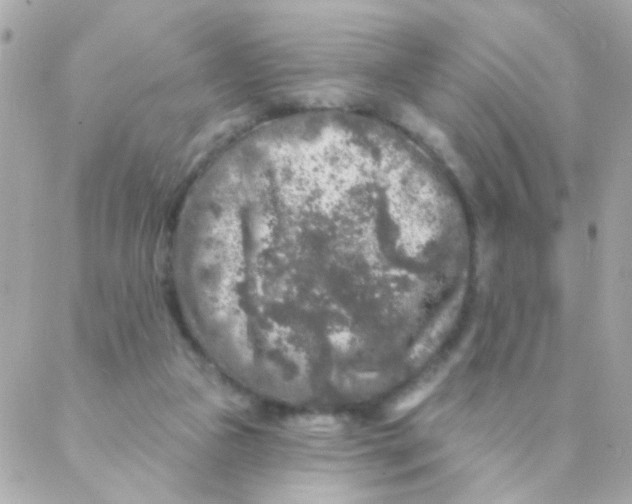 X0000088220161200706051331