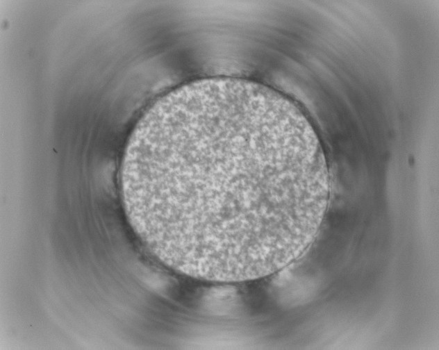 X0000088220162200706051331