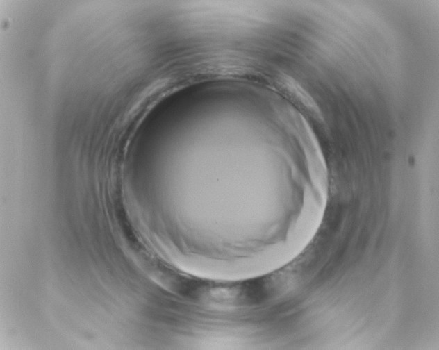 X0000088220163200706051331