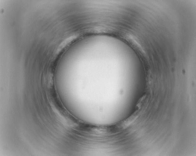 X0000088220164200706051331