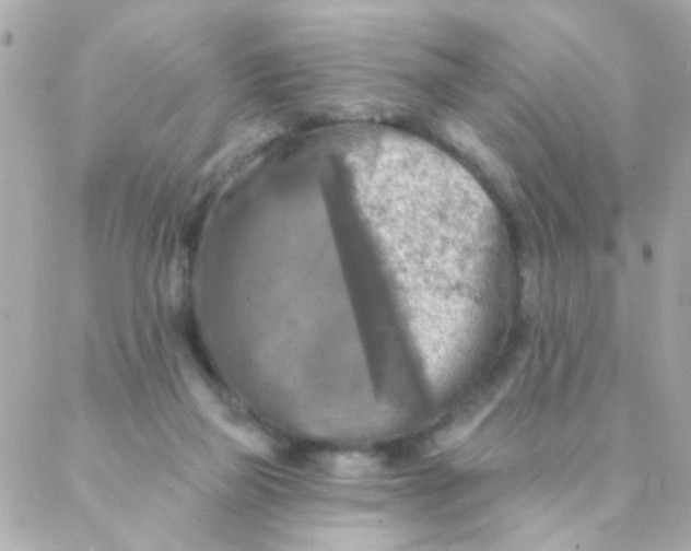 X0000088220165200706051331