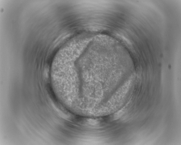 X0000088220166200706051331