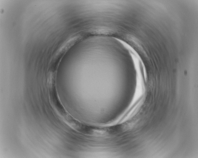 X0000088220167200706051331