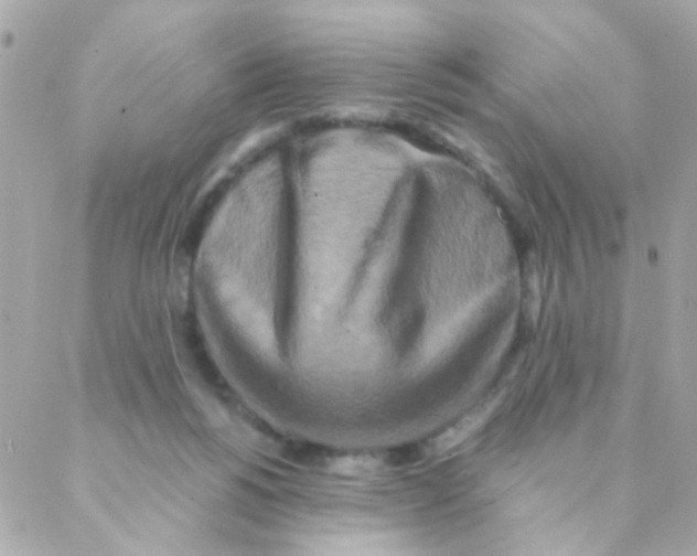 X0000088220168200706051331