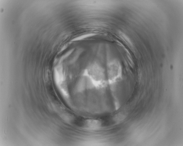 X0000088220169200706051331