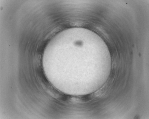 X0000088220171200706051331