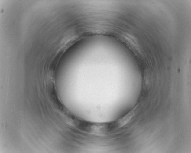 X0000088220172200706051331