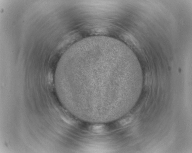 X0000088220173200706051331