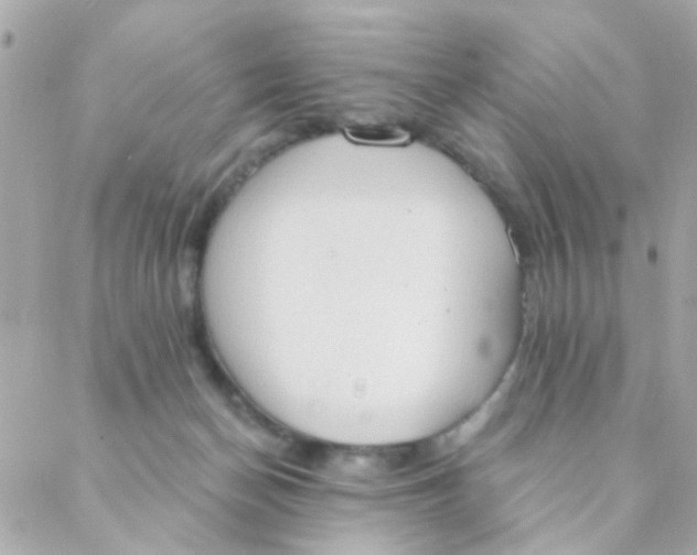 X0000088220174200706051331