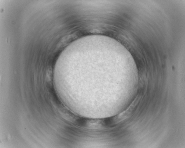 X0000088220175200706051331