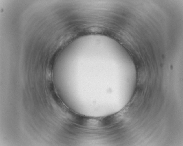 X0000088220176200706051331