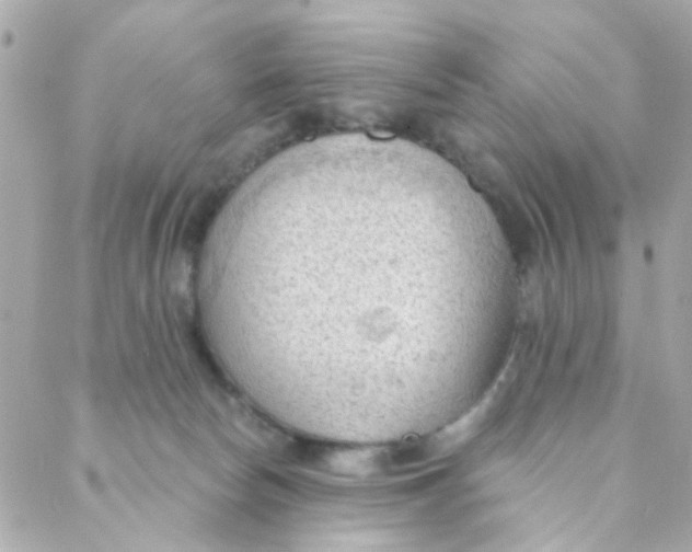 X0000088220178200706051332