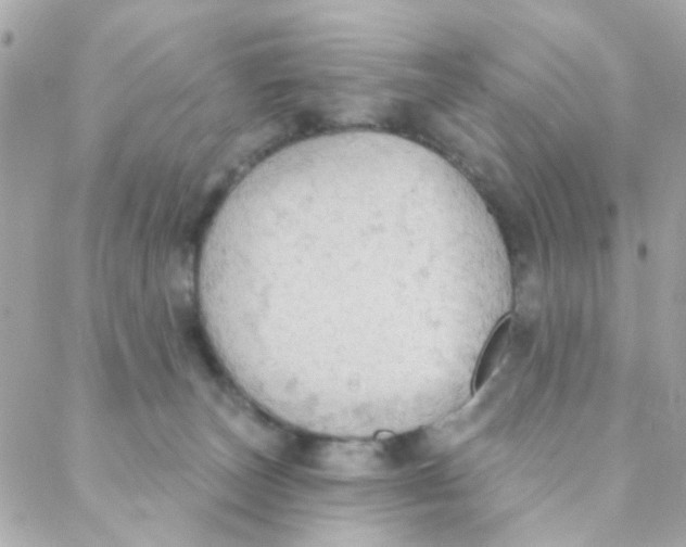 X0000088220179200706051332