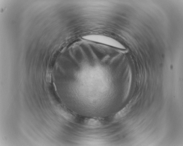 X0000088220180200706051332