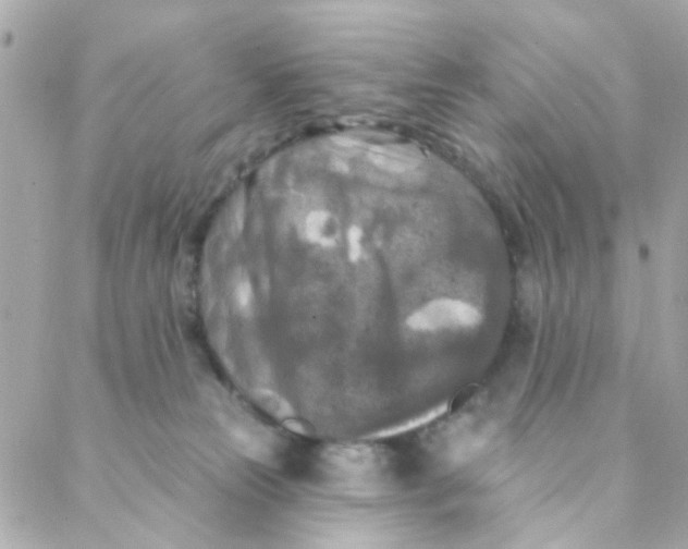 X0000088220181200706051332