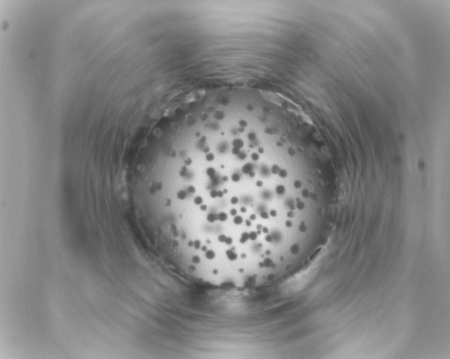 X0000088220182200706051332