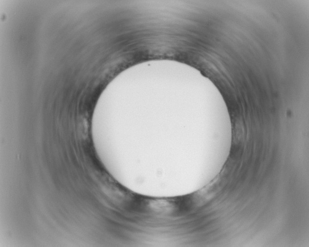 X0000088220183200706051332