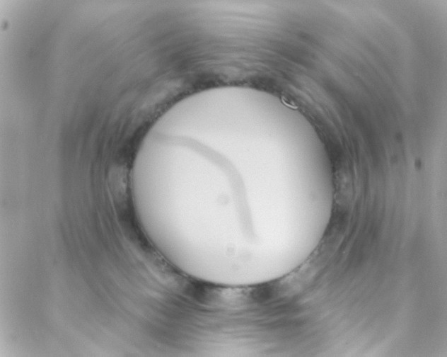 X0000088220184200706051332