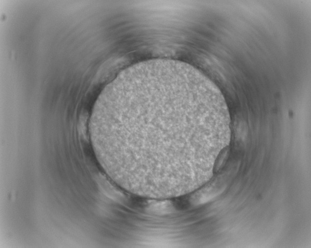 X0000088220185200706051332