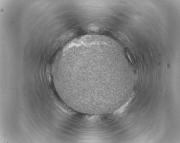 X0000088220186200706051332