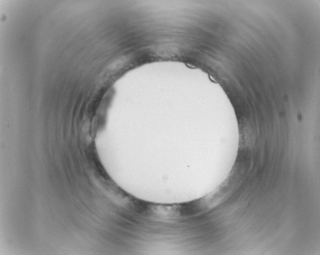 X0000088220187200706051332