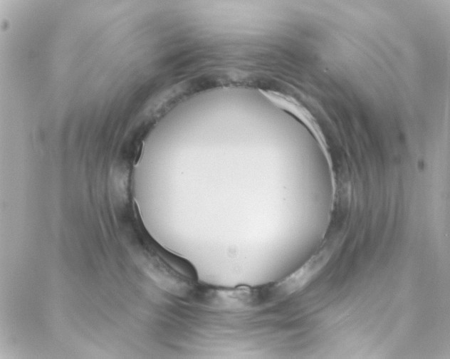 X0000088220188200706051332