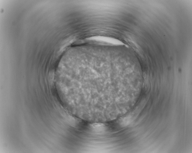 X0000088220189200706051332