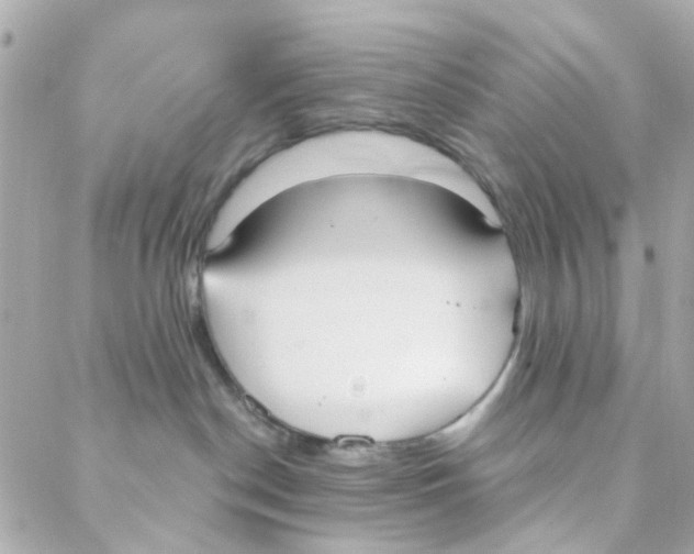 X0000088220190200706051332