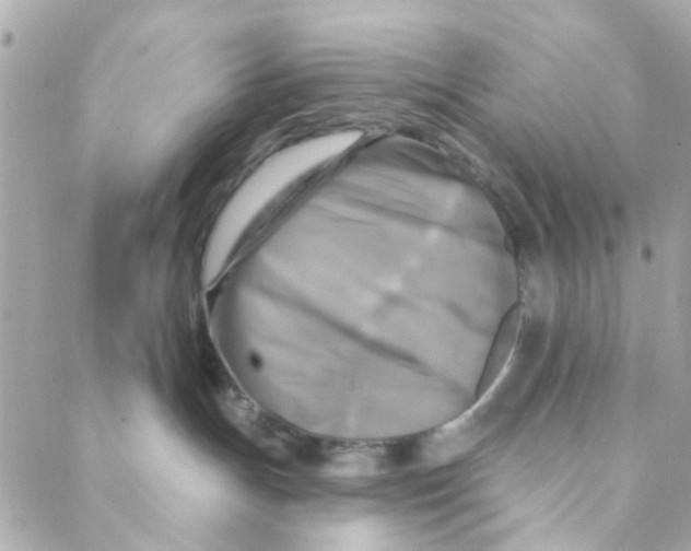 X0000088220191200706051332