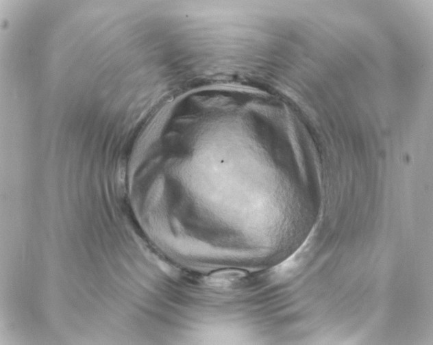 X0000088220192200706051332