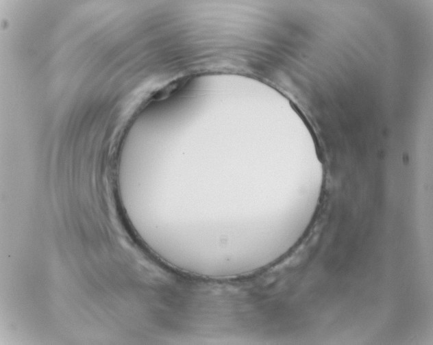 X0000088220193200706051331