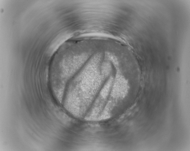 X0000088220194200706051331