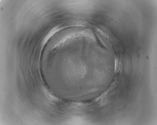 X0000088220195200706051331