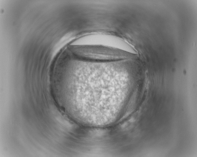 X0000088220198200706051331