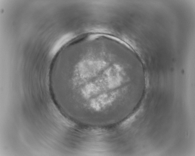 X0000088220199200706051331