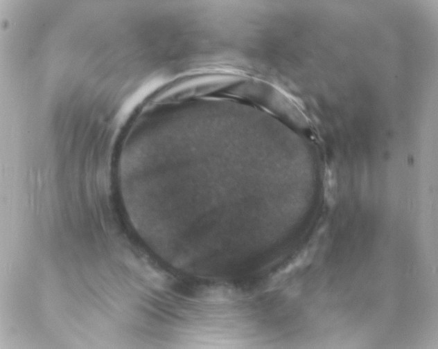 X0000088220200200706051331