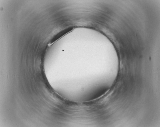 X0000088220201200706051331