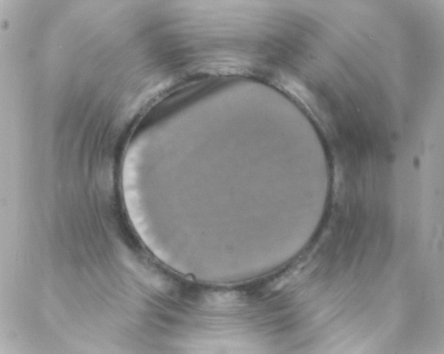 X0000088220202200706051331