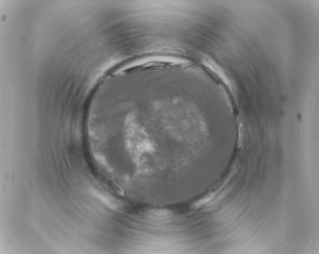 X0000088220203200706051331