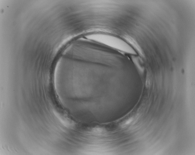 X0000088220204200706051331