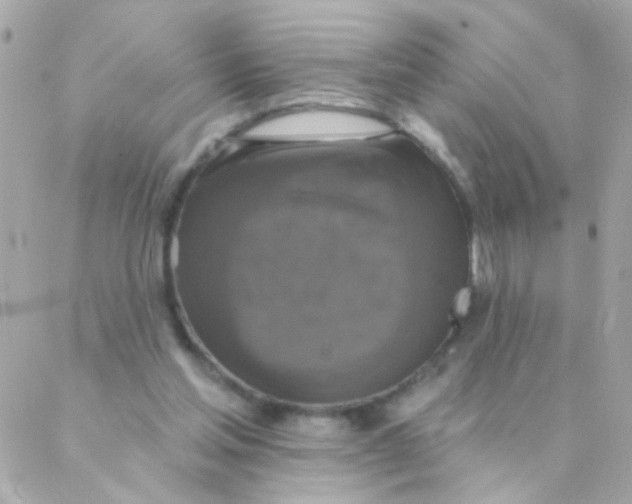 X0000088220205200706051331