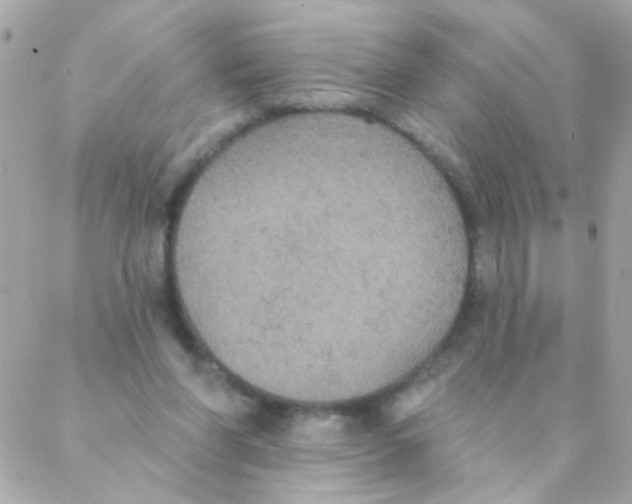 X0000088220206200706051331