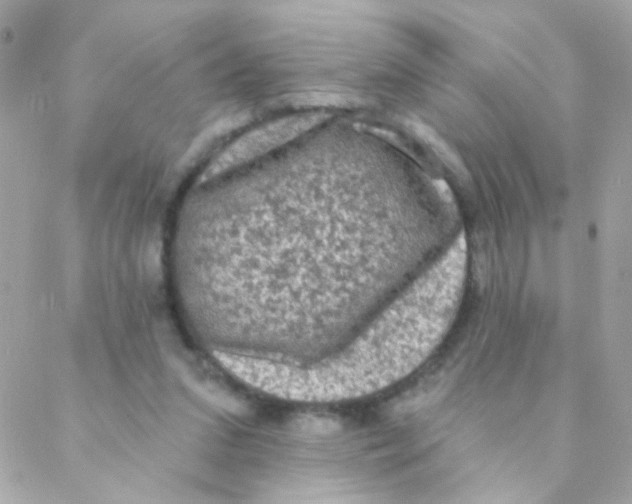 X0000088220207200706051331