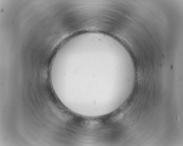 X0000088220208200706051331