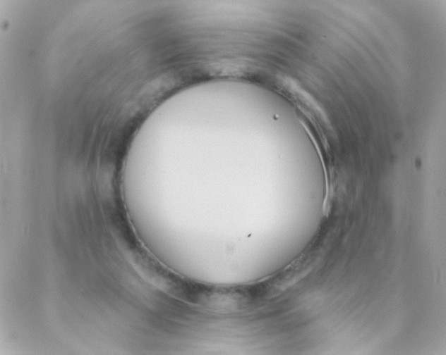 X0000088220209200706051331