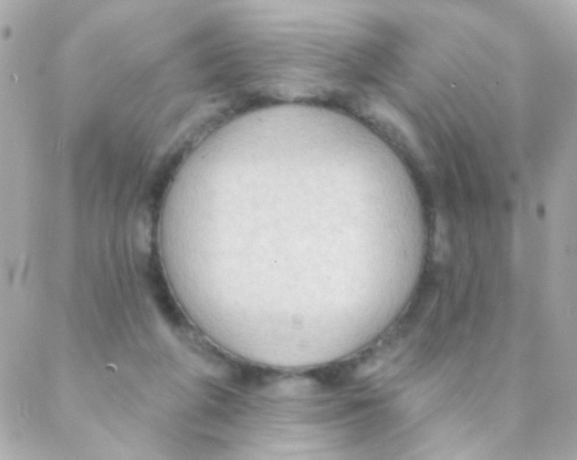 X0000088220210200706051331