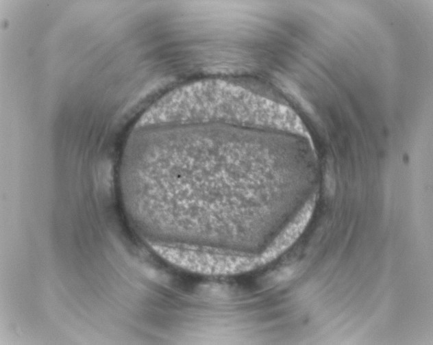 X0000088220211200706051331