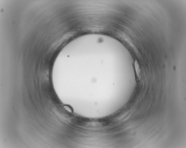 X0000088220212200706051331