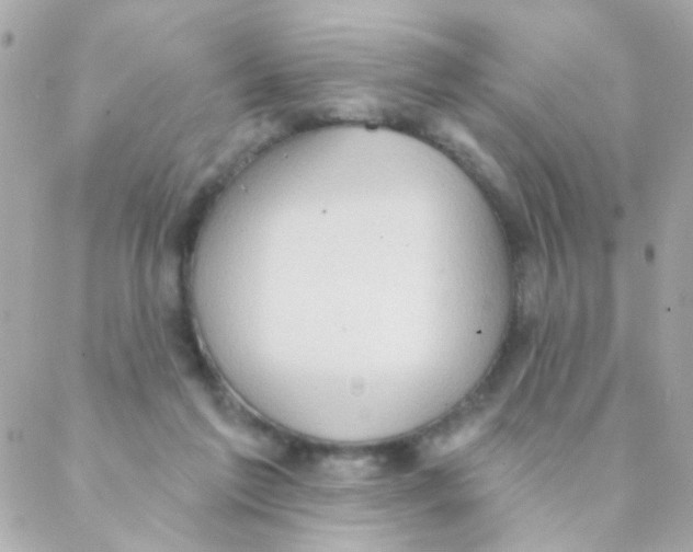 X0000088220213200706051331