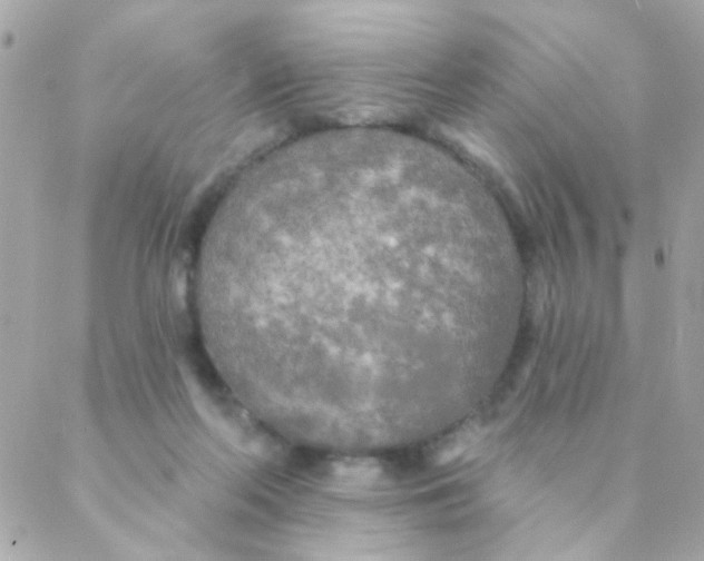 X0000088220214200706051331